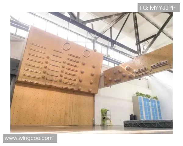 南京攀岩队创新战术分析与转型发展探讨 南京攀岩队创新战术分析与转型发展探讨