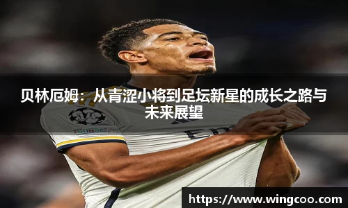 庄闲游戏平台