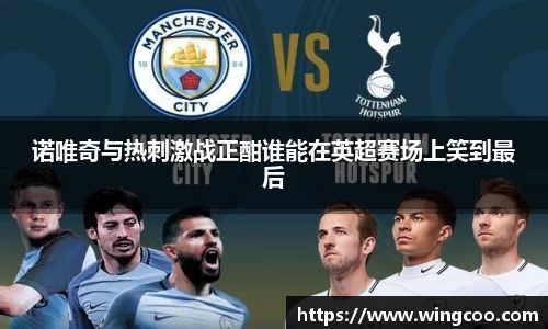 诺唯奇与热刺激战正酣谁能在英超赛场上笑到最后