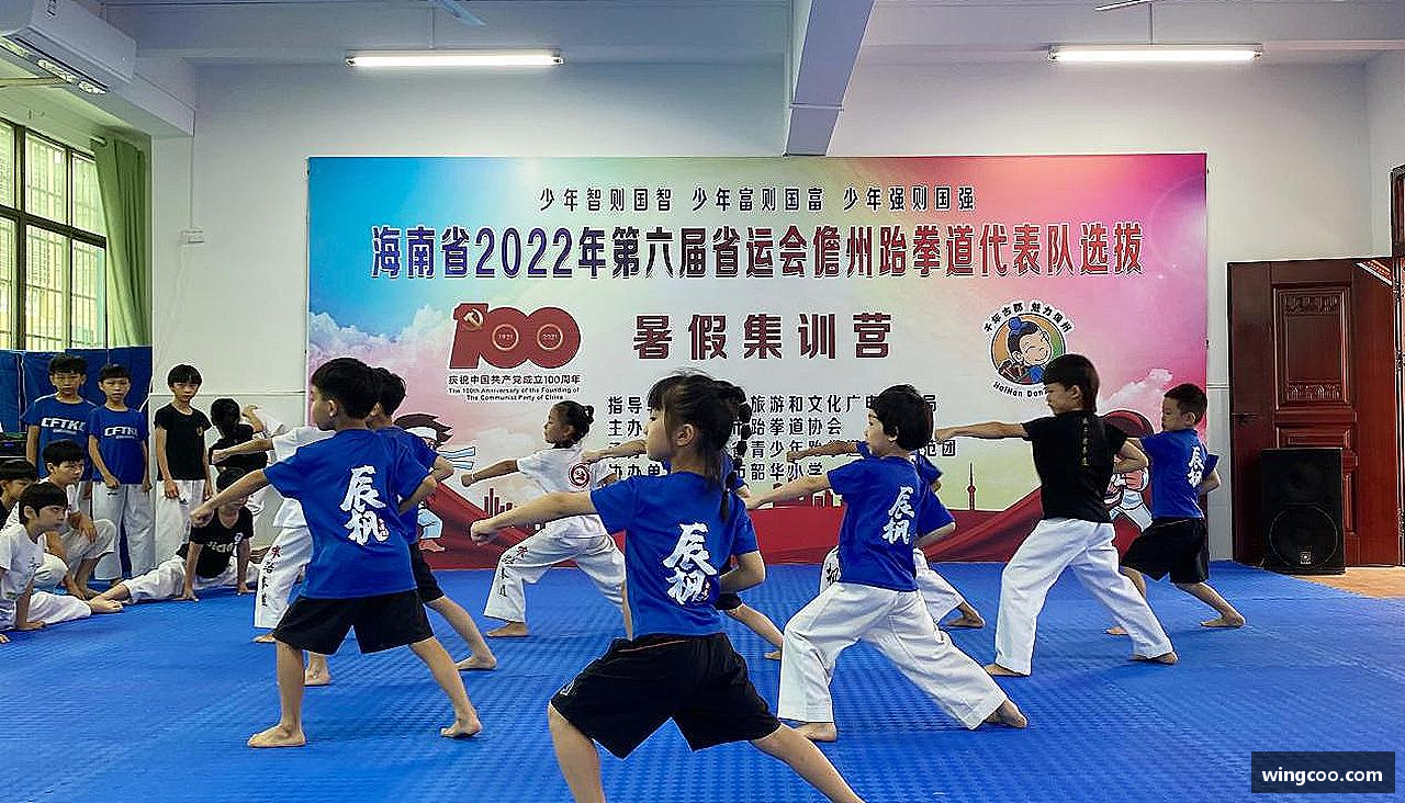 庄闲游戏平台勇攀高峰，梦想飞扬